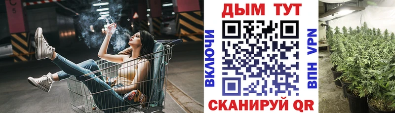 Бошки Шишки план Краснослободск